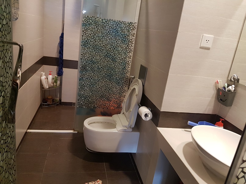 Apartment for rent in Thang Long Numberone 1